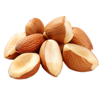 AI generated Tasty brazil nuts png isolated on transparent background