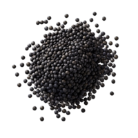 AI generated Fresh black lentils png isolated on transparent background