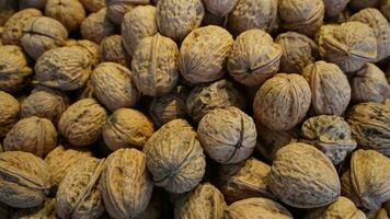 Healthy walnuts are a great source of vitamin e photo