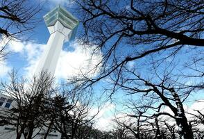 a view of the air traffic control tower from the ground photo