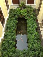 un pequeño estanque en el patio de un edificio foto