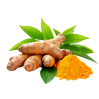AI generated Fresh turmeric with leaves png isolated on transparent background