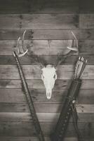 Traditional Archery Deer Hunting Concept photo