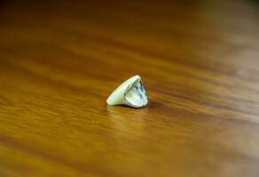 Tooth, metal ceramic crown on the table. Denture made of metal ceramics photo