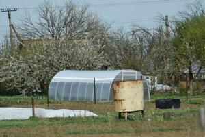 Greenhouse polycarbonate in a private garden photo