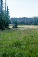 Colorado Weminuche Wilderness Scenery and Meadow photo