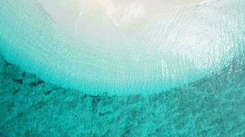 tropical sablonneux plage avec turquoise clair océan dans ensoleillé journée. aérien vue dans Maldives sur recours île video