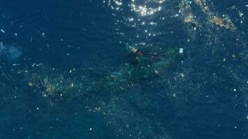 ecologie problemen in Bali. mensen zwemmen in plastic verontreiniging vrijheid wrak schip in tulamben. video