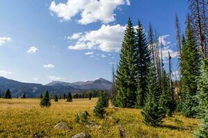 Colorado Weminuche Wilderness Meadow Scenery photo