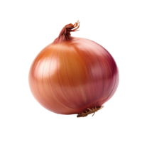 AI generated Onion png isolated on transparent background