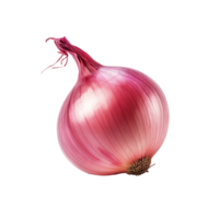 AI generated Onion png isolated on transparent background