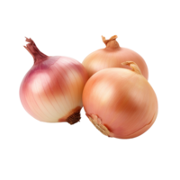 AI generated Onion png isolated on transparent background