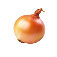 AI generated Onion png isolated on transparent background