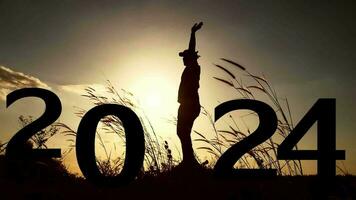 gelukkig nieuw jaar 2024. gelukkig 2024 Mens silhouet. video