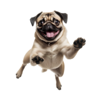 AI generated Cute and happy dog on transparent background PNG, easy to use. png