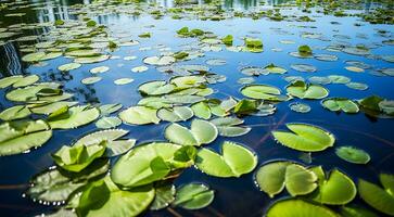AI generated lilies in the park, lilies background on the water, lilies in the lake, beautiful lilies photo