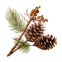 AI generated Watercolor Winter Pinecones png
