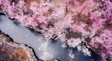 AI generated pink sakura in the japan, sakura tree background, pink tree background, sakura wallpaper, sakura in spring photo