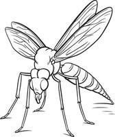 Mosquito coloring page vector