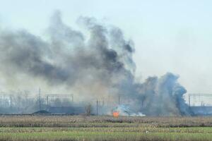 Fire on irrigation canals photo