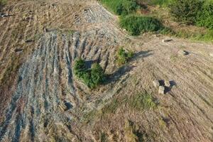 Rectangular bales of hay on the field. Hay photo