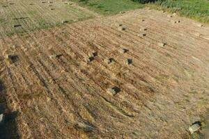 Rectangular bales of hay on the field. Hay photo