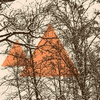 Abstract grunge background with trees and triangle. Vector illustration for your design