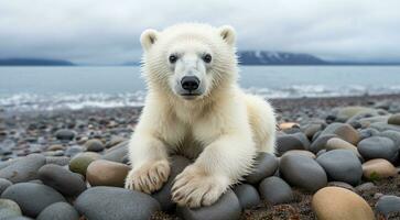 AI generated polar bear in the snow, polar bear in the lake, white bear in the nature, polar bear in the polar regions, close-up of white bear photo