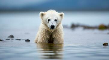 ai generado polar oso en el nieve, polar oso en el lago, blanco oso en el naturaleza, polar oso en el polar regiones, de cerca de blanco oso foto