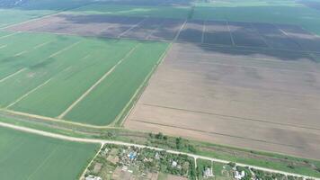 Fields in the Kuban view from a height. Young wheat and plowed field a little further from the village. photo