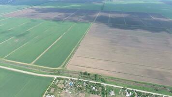 campos en el kuban ver desde un altura. joven trigo y arado campo un pequeño más lejos desde el aldea. foto