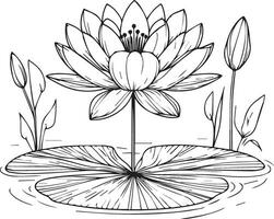 Nymphaea water lily drawings, outline water lily drawing, outline water lily flower drawing, black and white water lily drawing, sketch water lily drawing, hand drawn sketch water lily drawing vector