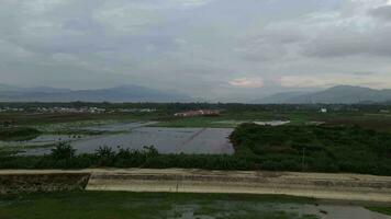 aéreo Visão do legumes dentro a jardim submerso dentro água da chuva video