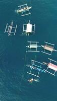 verticale metraggio di balena squali interagendo con turisti su un' barca video
