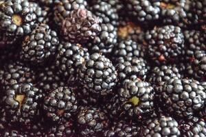 Plate with berries black blackberries photo