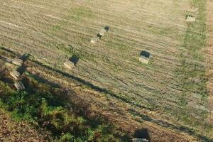 Rectangular bales of hay on the field. Hay photo