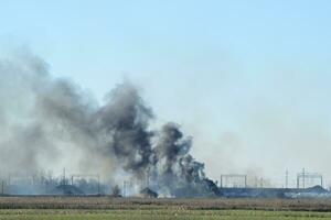 Fire on irrigation canals photo