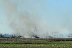 Fire on irrigation canals photo