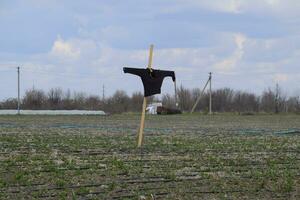 Garden scarecrow on field, scaring crows from crops. photo