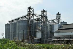 Plant for the drying and storage of grain photo