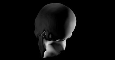 Human skull gyrating on black background video