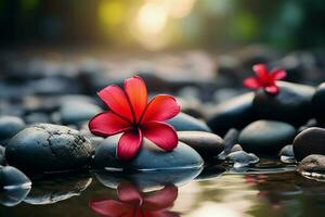 AI generated Red frangipani flower amidst spa stones, creating a tranquil atmosphere photo