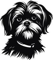 silueta personaje shih tzu perro, linda logo. vector