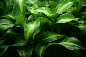 AI generated Ethereal foliage The enchanting sight of green leaves caught in mid flight AI Generated photo