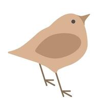 Small bird, sparrow. Isolated element for your design vector