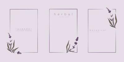 Set of lavender frame templates in minimal linear style with hand drawn branches and leaves. Botanical vector illustration for labels, corporate identity, wedding invitation, logo, save the date