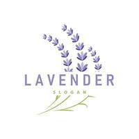 Lavender Logo Elegant Purple Flower Plant Illustration Floral Ornament Design vector