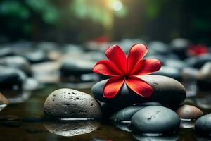 AI generated Red frangipani flower amidst spa stones, creating a tranquil atmosphere photo