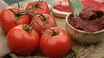 Haut vue de tomate pâte. haute qualité 4k métrage video