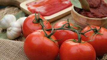 Fresco tomate cerca arriba. alto calidad 4k imágenes video